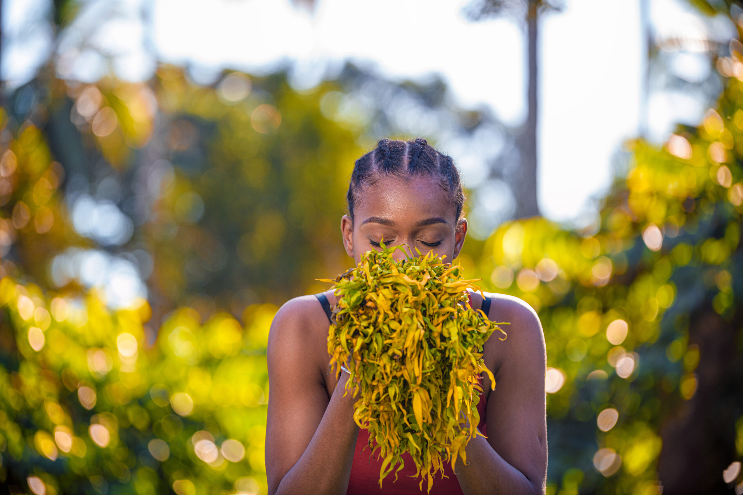 L'Essence de Mayotte: L'Ylang-Ylang dans les Mains de la Tradition