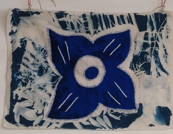 Atelier cyanotype Mayotte avec Aude Gourichon – PER Coconi