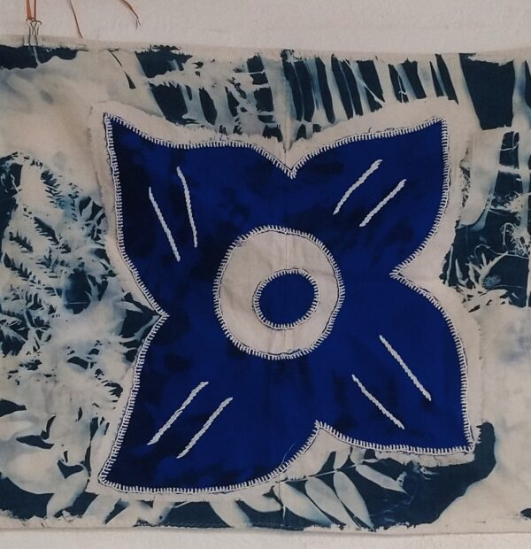 Exemple d’impression cyanotype lors de l’atelier à Mayotte