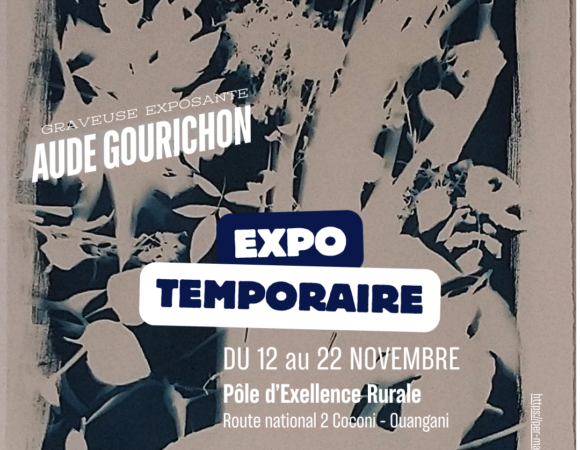 Exposition artistique Mayotte : Aude Gourichon au Pôle d’Excellence Rurale